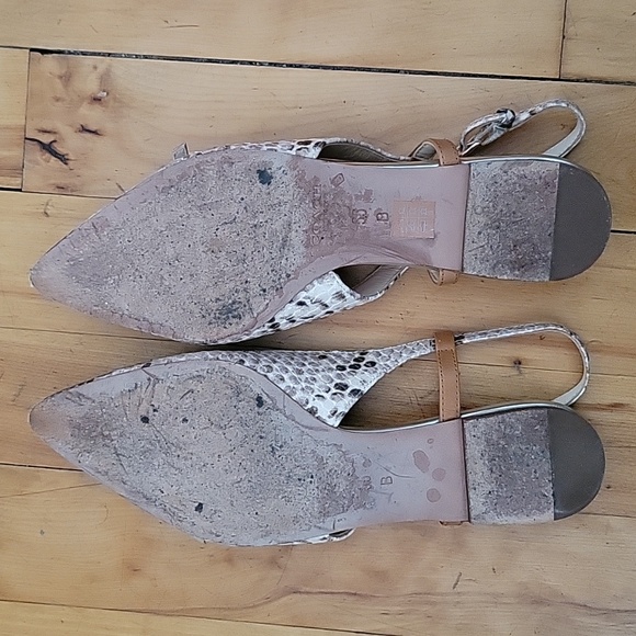 Coach Wooster slingbacks in size 51/2. - Picture 4 of 5
